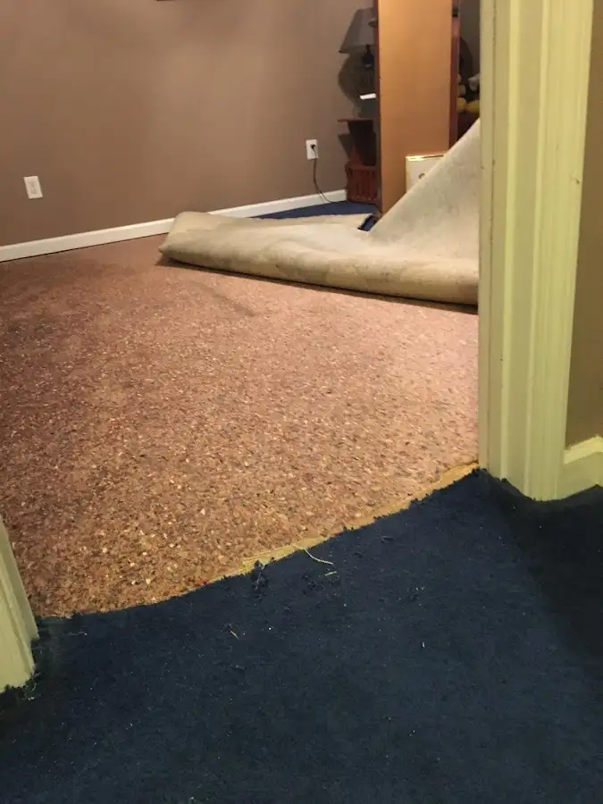 Carpet pad removal revealing water damage during Water Mitigation Services in Bartow